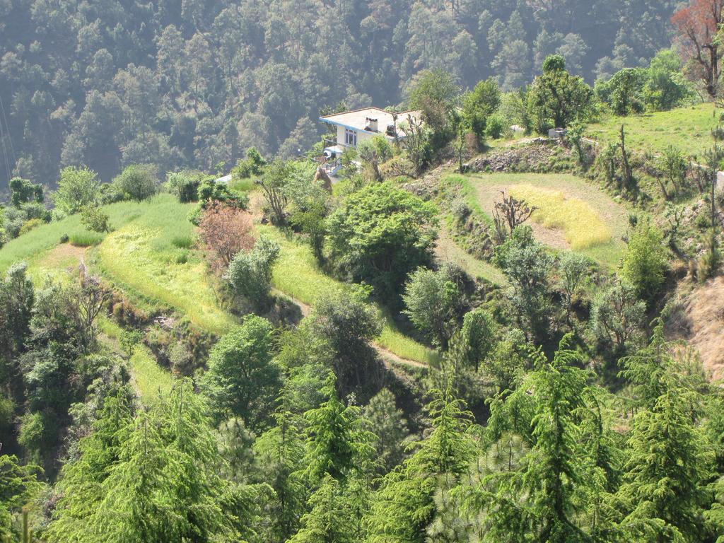 Shimla Nature Ville Esterno foto