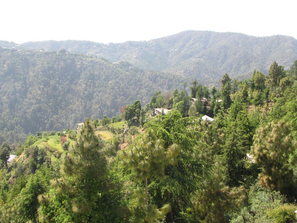 Shimla Nature Ville Esterno foto